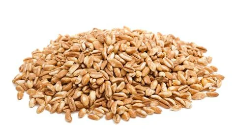 Spelt heap Stock Photos