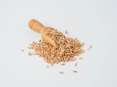 Spelt isolated on white background. Stock Photos