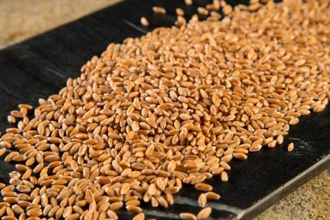 Spelt 스톡 사진