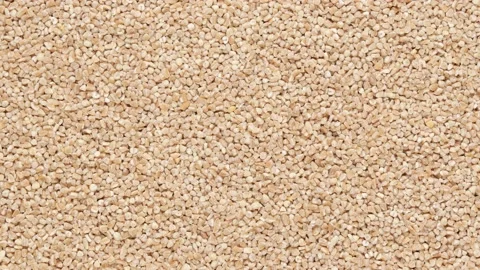 Spelta - background. Cereals, close-up. Stock Footage 142231984