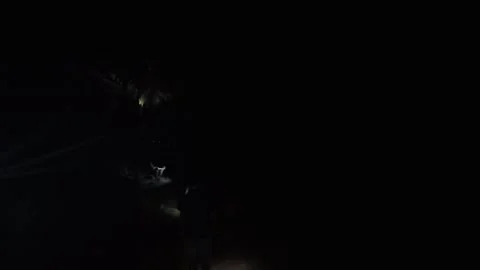 Spelunkers Exploring Dark Cave Tunnel with lamps Stock Footage 328578893