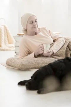 Spending time with black dog Stock Photos