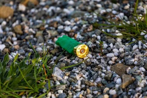 A Spent Shotgun Shell Stock Photos
