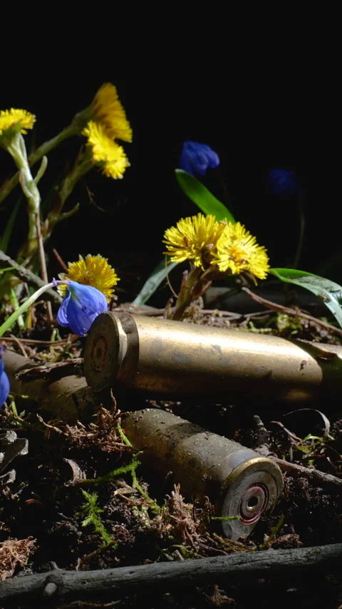 Spent shotgun shells among spring forest flowers macro Stock Footage 334334842