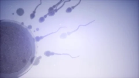Sperm Egg Cell Microscope Stock Footage ~ Royalty Free Stock Videos | Pond5