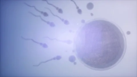 Sperm Egg Cell Microscope Stock Footage ~ Royalty Free Stock Videos | Pond5