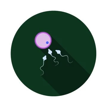 Sperm And Egg Cell Icon Stock-Illustration