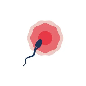 Sperm and egg cell Illustrazione stock