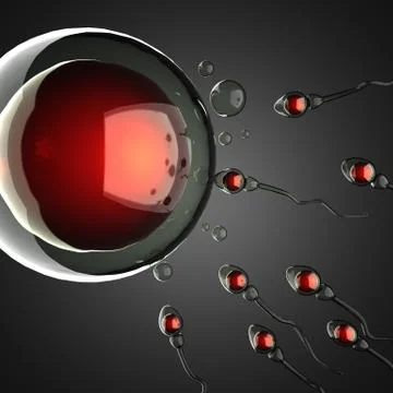 Sperm and egg cell. microscopic image Stock Illustration