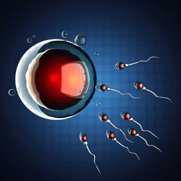 Sperm and egg cell. microscopic image Stock Illustration