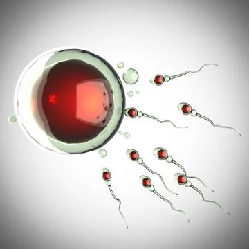 Sperm and egg cell. microscopic image Stock Illustration