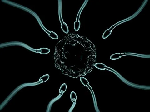 Sperm and egg cell microscopic view. 3D Stock Illustration