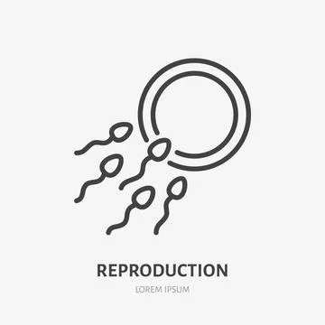 Sperm and egg flat line icon. Vector outline illustration of reproductive system イラスト素材