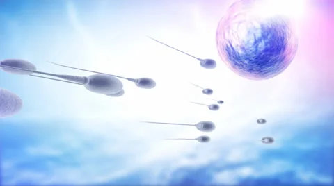 Sperm and human egg Stock Footage 24723815