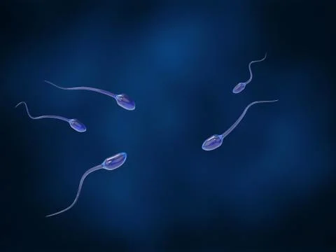 Sperm approaching egg on a dark blue background Stock-Illustration