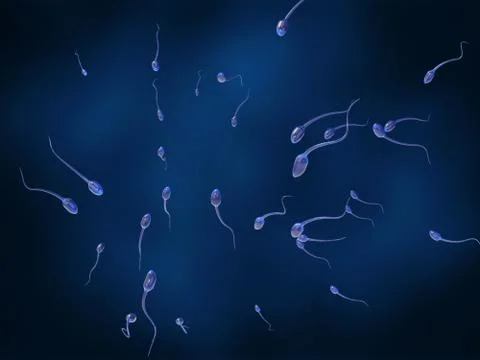 Sperm approaching egg on a dark blue background Stock-Illustration