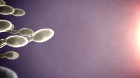 Sperm attack. Stock Footage 34493329