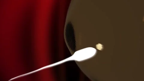 A Sperm Attempts to Enter an Egg Stock Footage 332865854