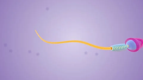 Sperm Cell Flagellum tail Stock Footage 245277894