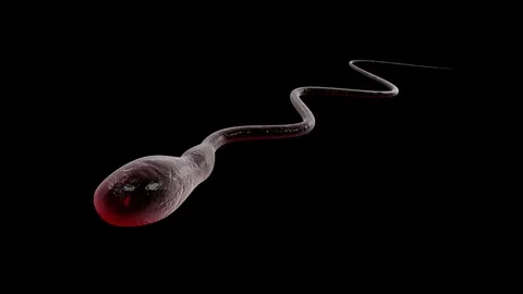 Sperm cell Stock Footage 84630273