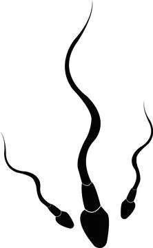 Sperm Cell Silhouettes Stock Illustration