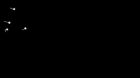 Sperm Cells 1 Stock Footage 1089885