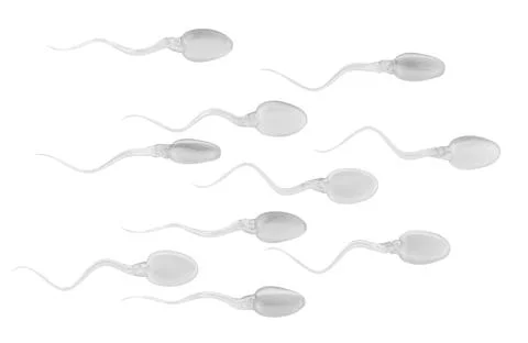 Sperm cells. 3d rendering Stock Illustration