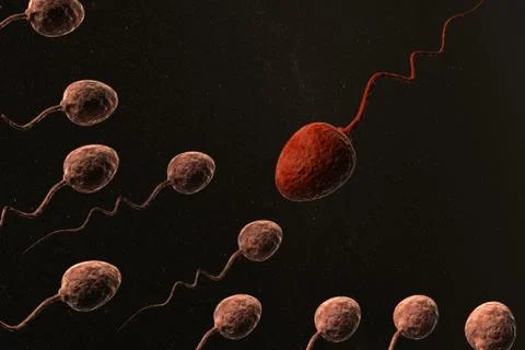 Sperm cells and red one leader. Illustrazione stock