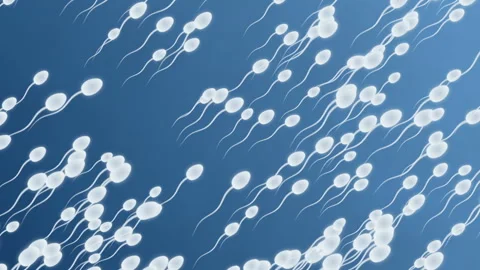 Sperm cells are moving on a blue background Stock Footage 112657691
