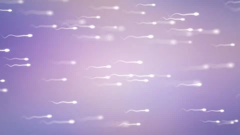 Sperm cells Video stock 333636965