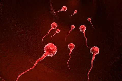 Sperm cells Stock Illustration