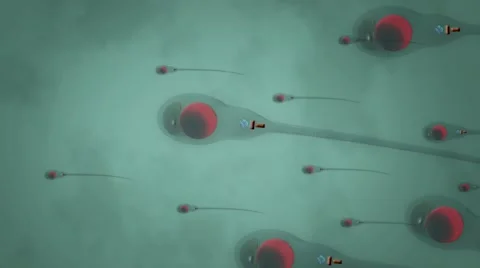 Sperm cells in motion for fertilization Stock Footage 56329764