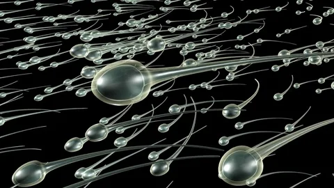 Sperm cells moving on black background Stock Footage 83434031