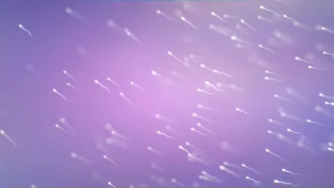 Sperm cells represent around ten percent of semen volume Vidéo 168245733