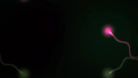 Sperm Cells Under Microscope Closeup. Stock Footage 334542283