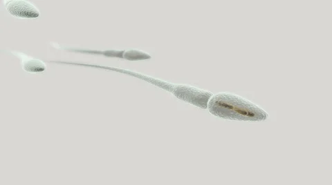 Sperm with chromosome inside macro footage on light background Stock Footage 50958408