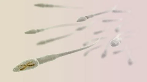 Sperm with chromosome inside macro on light background Stock Illustration