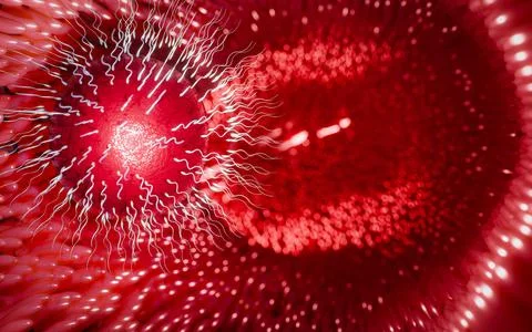 The sperm is directed towards the egg. To do human mating. A pre-fertilizat.. Stock Illustration