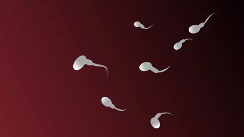 Sperm egg swim. Reproductive system. Human male spermatozoon cell. Fertilization Stock Footage 294932422