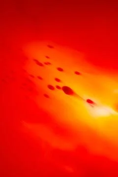 Sperm fast speed, Abstract background 写真素材