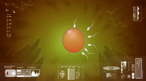 Sperm - Fertilization - Ovulation - Digital Background - Vector Interface - O Vídeo Stock 65154576