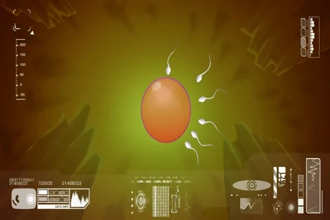 Sperm - Fertilization - Ovulation - Digital Background - Vector Interface - O Vídeo Stock 68614100