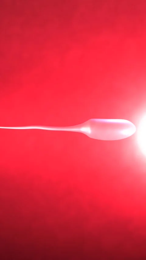 A Sperm Fertilizes an Egg and Creates Life - Vertical Stock Footage 332685288