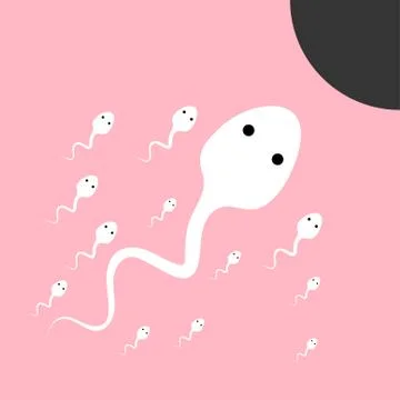Sperm flowing towards the egg vector illustration white Stock Illustration