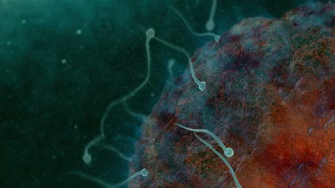 Sperm Video stock 98558070