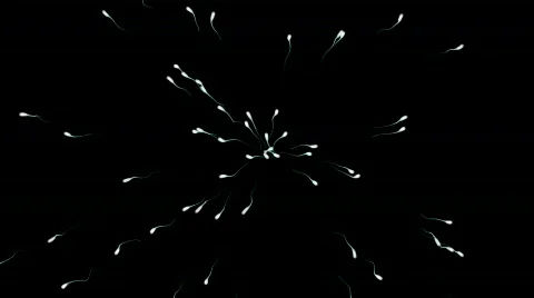 Sperm Generator w/ Alpha (30fps) Stock Footage 731540