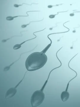 Sperm Stock Illustration