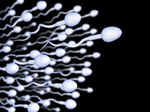 Sperm Stock Illustration