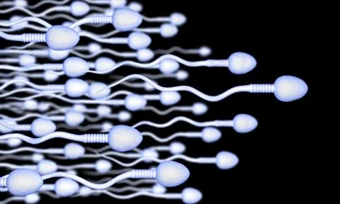 Sperm Stock Illustration