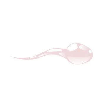 Sperm Stock Illustration